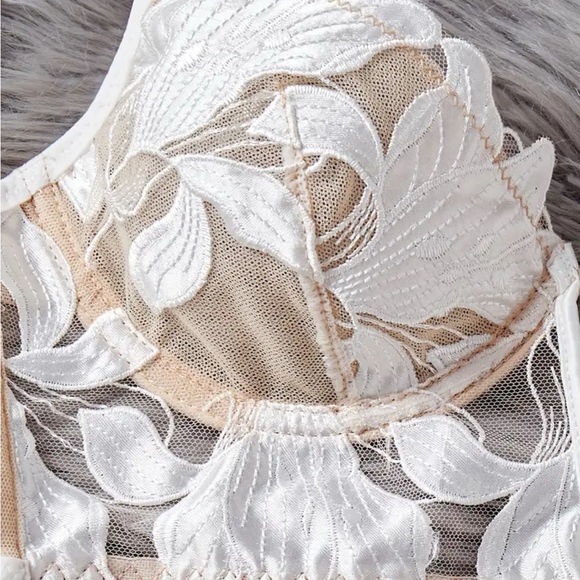 IZA Lotus Ivory Satin Embroidered Over Sheer Mesh Deep V Bustier Bra & Panties - Picture 8 of 15